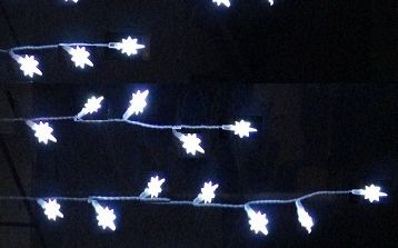 Bethlehem LED Light Strings